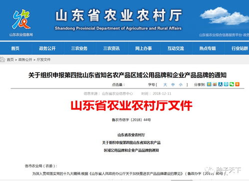 山東啟動省級知名農產品品牌申報競賽，推動農業品牌化發展